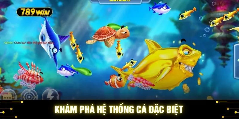 Khám phá hệ thống cá đặc biệt